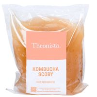 Theonista Scoby